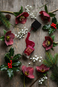 Load image into Gallery viewer, Winter Berry (Deep Wine Red Nail Polish)
