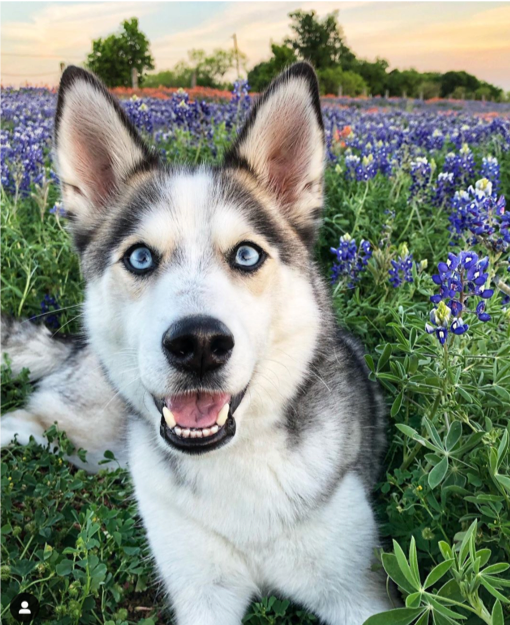 Meet a Real, Rugged Beauty - KIKY