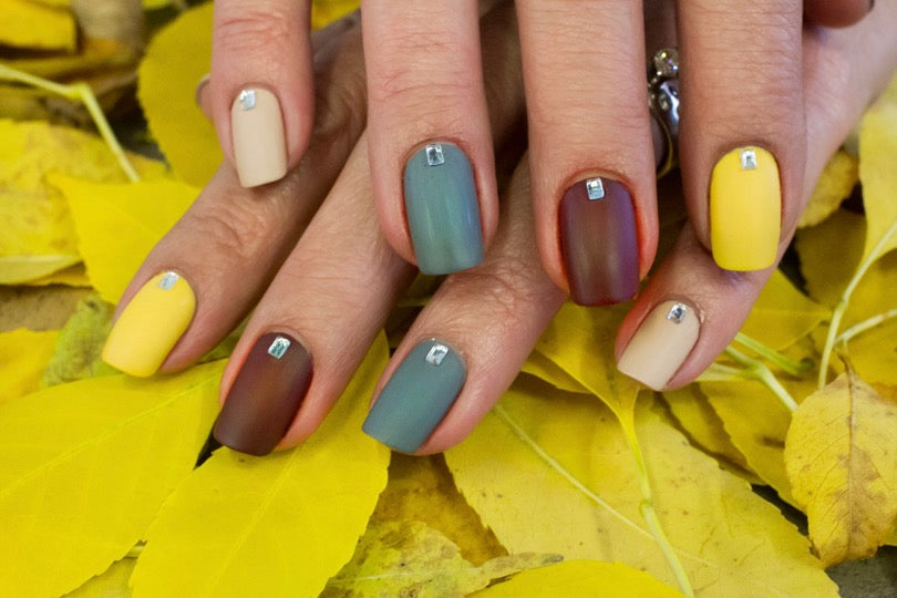 Autumn Shades - Shop The Look