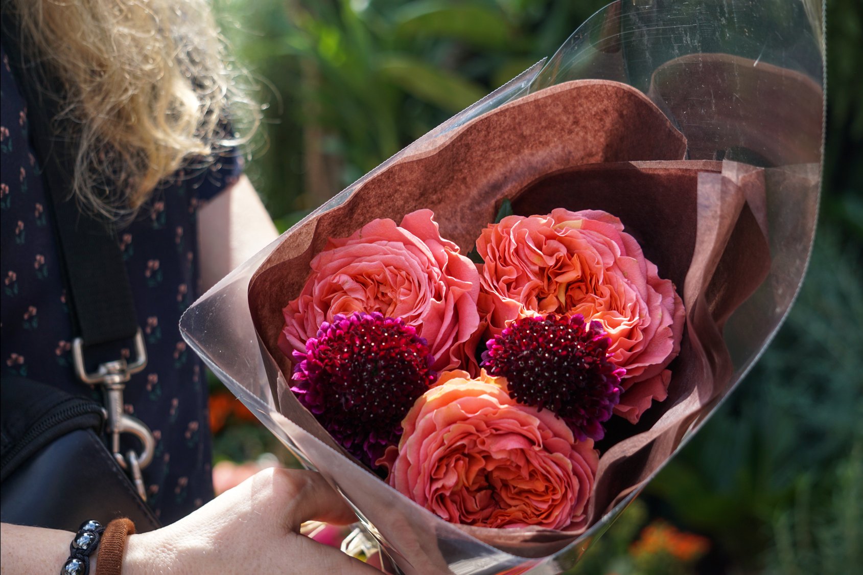 Seasonal Color Picks