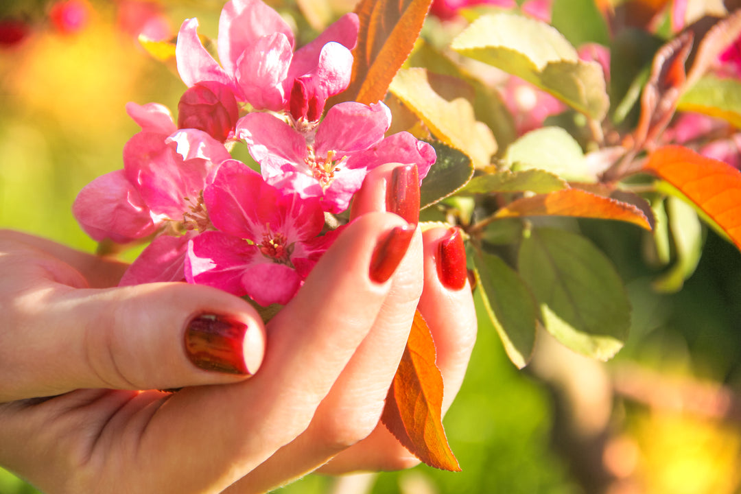 Perennial Beauty (Deep Red Nail Polish)
