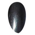 Load image into Gallery viewer, New Year's Eve Kiss (Charcoal Nail Polish)
