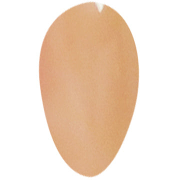 Karma Butterscotch Nail Polish